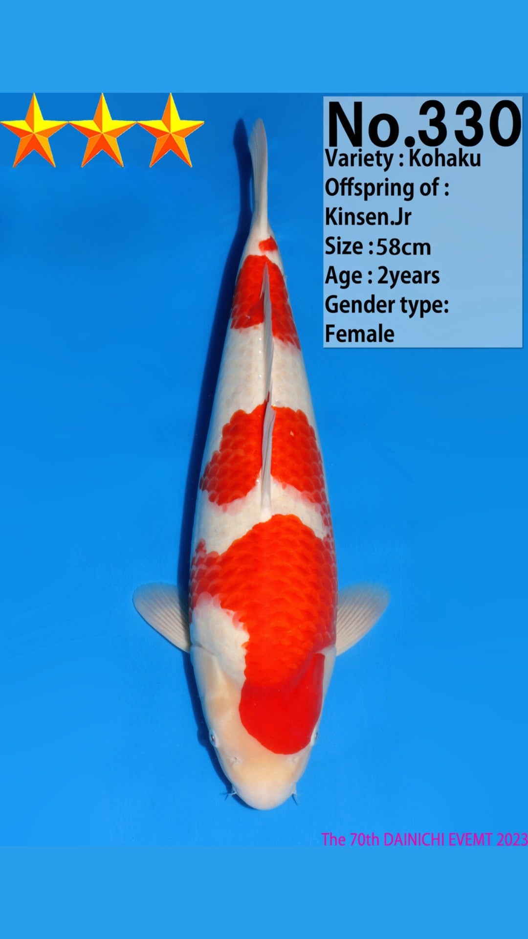 330 Kohaku